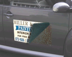 picture of a magnetic sign peeling off a vehicle.  Our magnetic signs do not damage your cars paint job