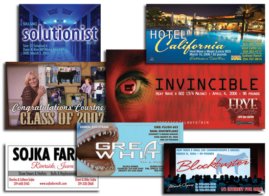 many custom vinyl banners