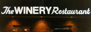 Picture for front lit custom channel letters